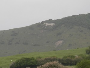 White horse