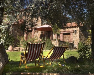 chairs molino alajar