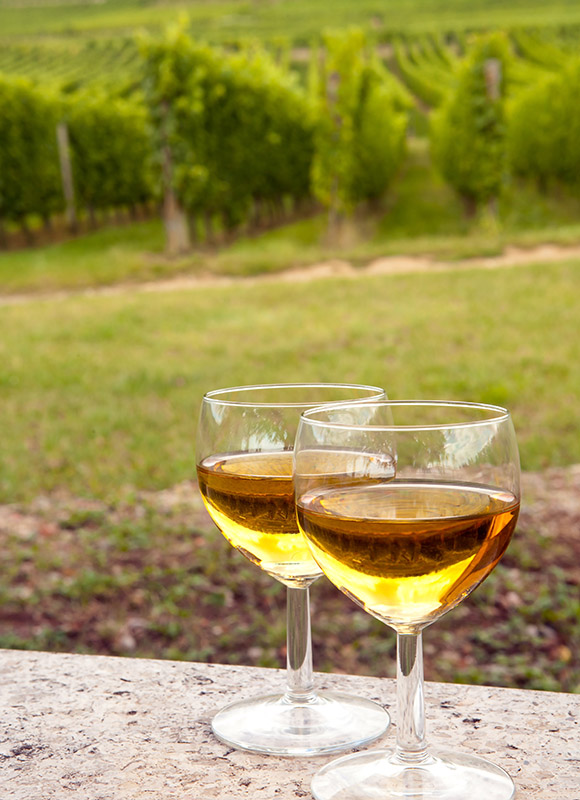 585shutterstock_149183330