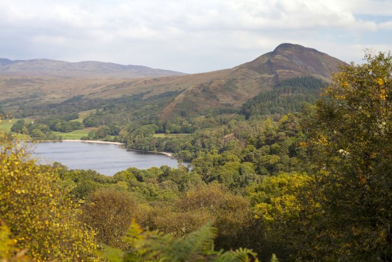 shutterstock_158495573