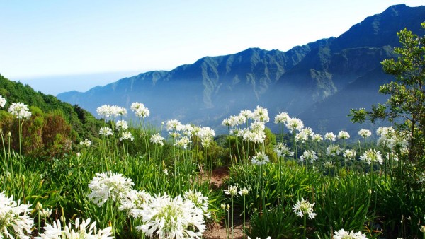 Walking holidays in Madeira