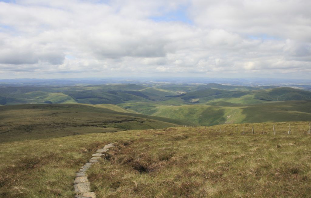 Cheviot Hills