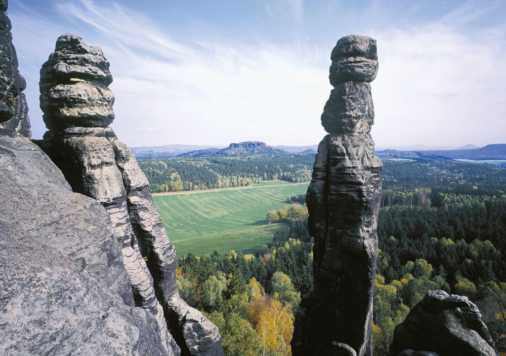 The Barbarine Needle