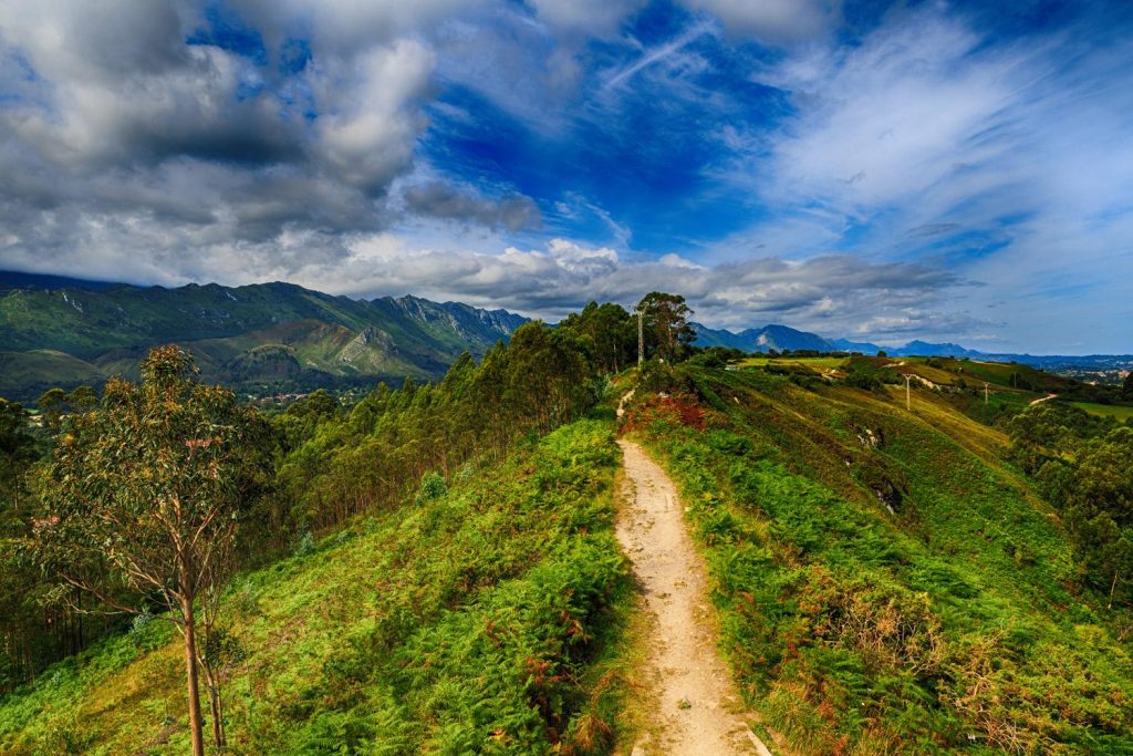 Camino Primitivo