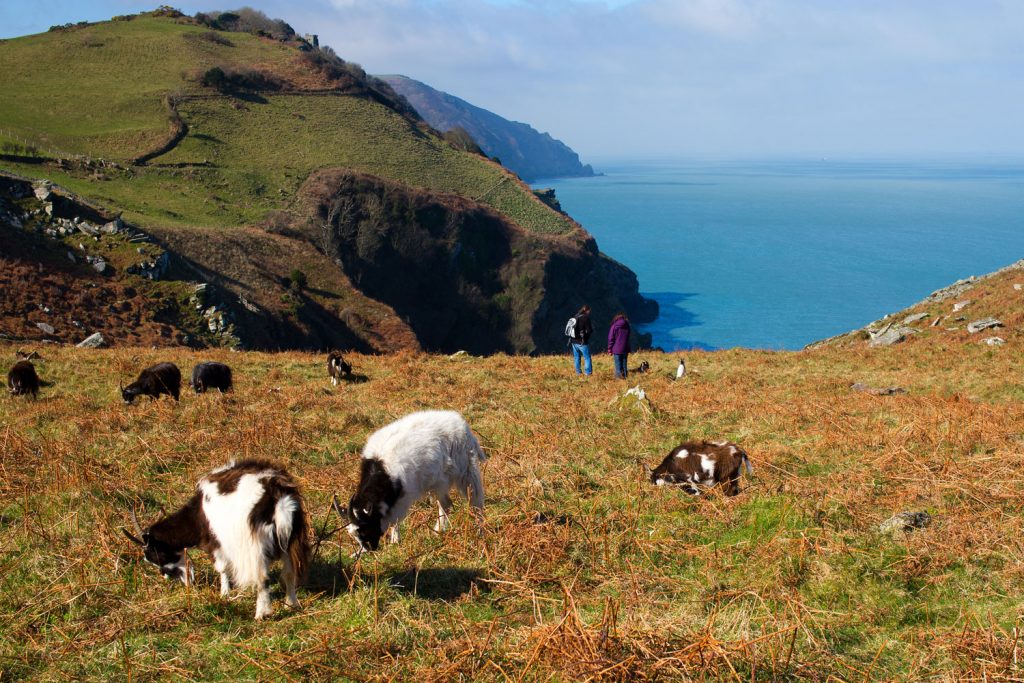 The Valley of the Rocks.