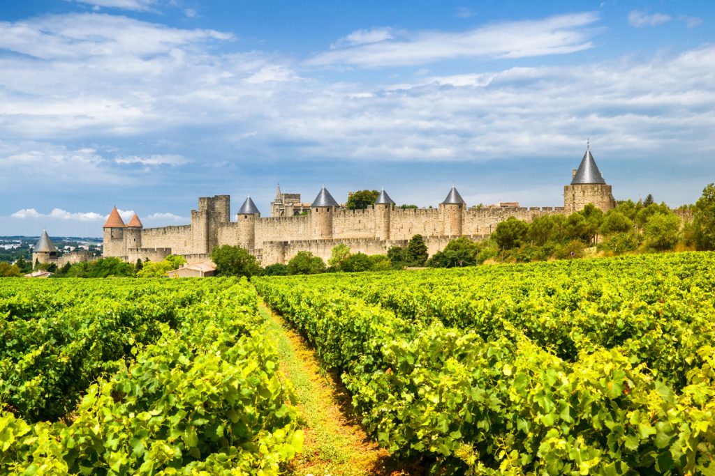 Carcassonne and vineyards