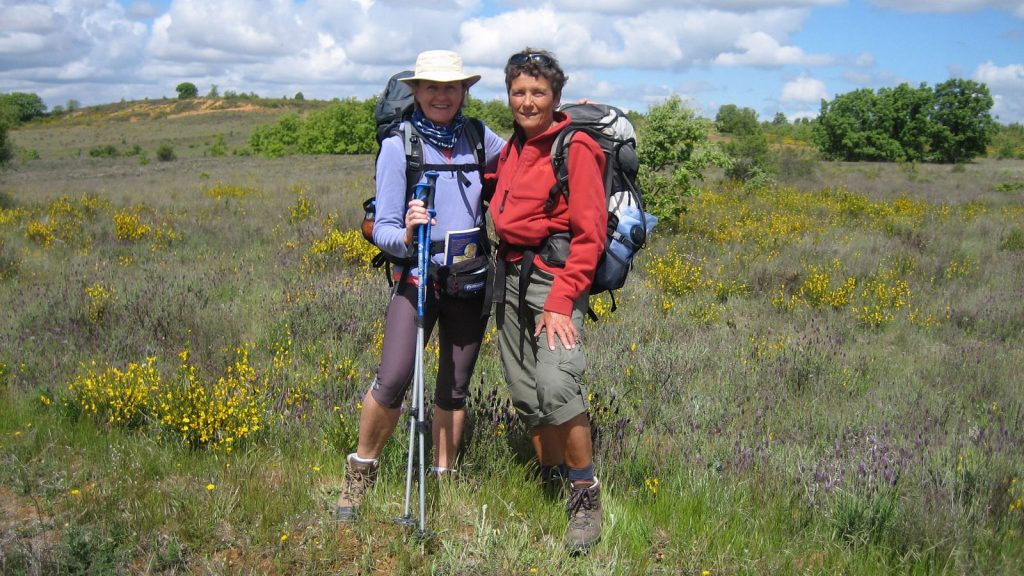 Near Santa Domingo on the Santiago de Compostella. 