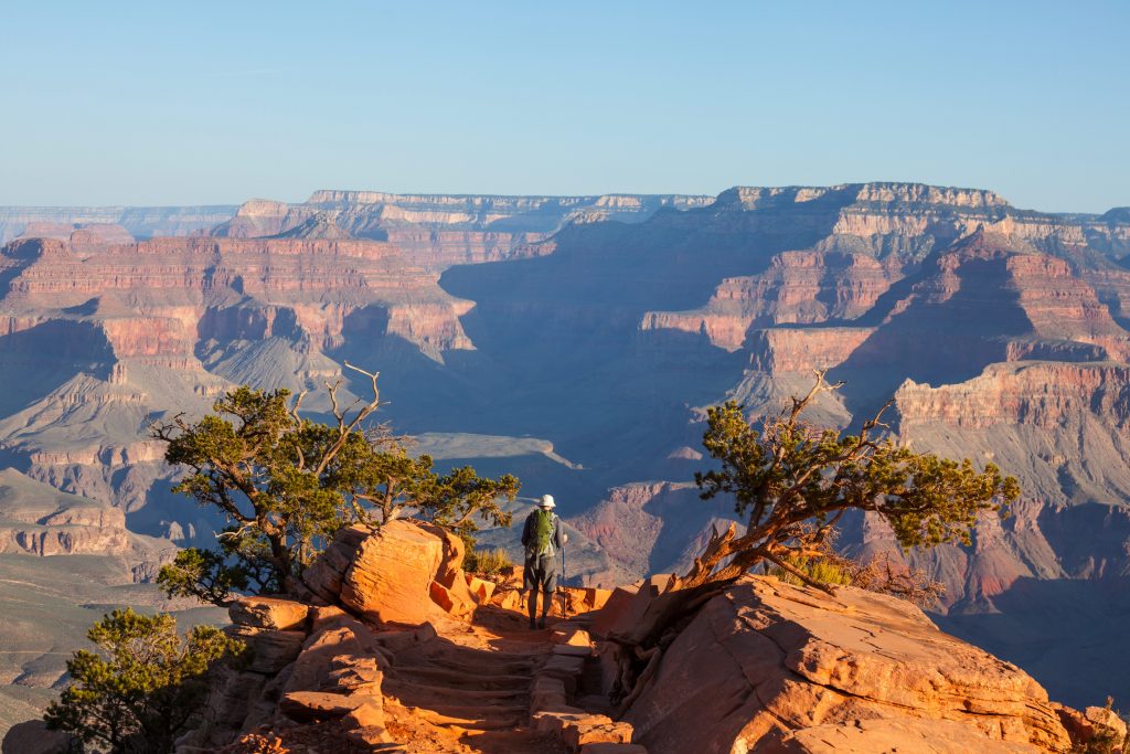 Wide shot of the Grand Canyon with rock formations stretching to the horizon