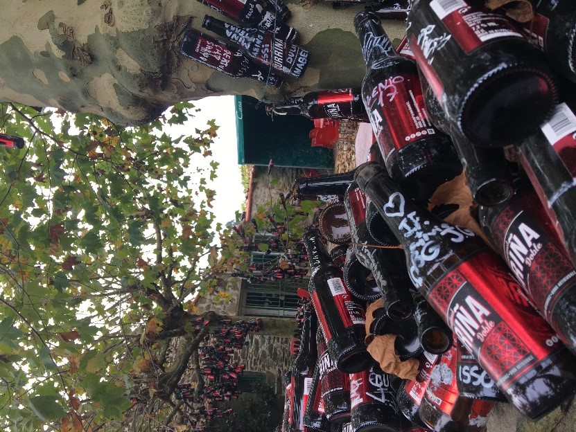 Beer Bottles Camino