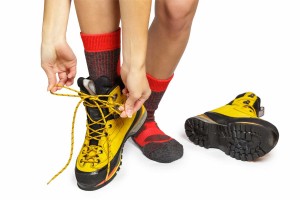 ss1500_shutterstock_232933063