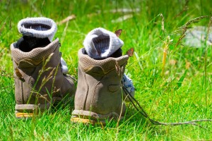 shutterstock_268264313