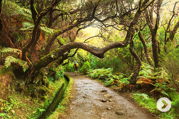 Wandern auf der Blumeninsel Madeira