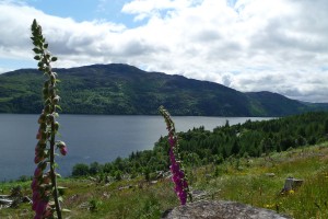 loch ness