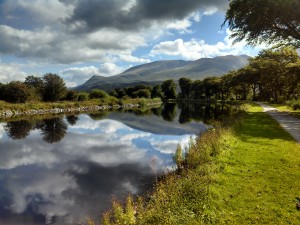 Feedback_GGW_Shelby_santa_fe