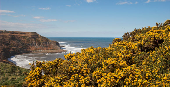 yorkshire-coast