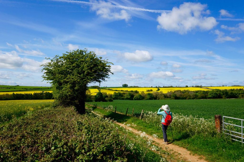 walker in the cotswolds