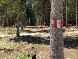 Way marking at the start of the AV1