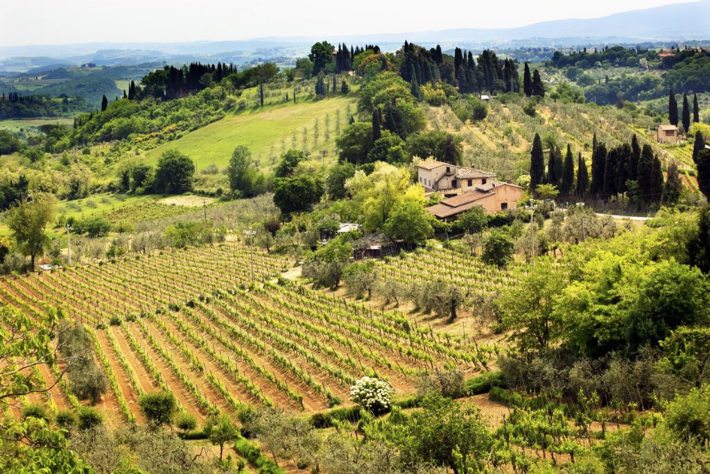 1500-ss_nr-san-gimignano_74996806