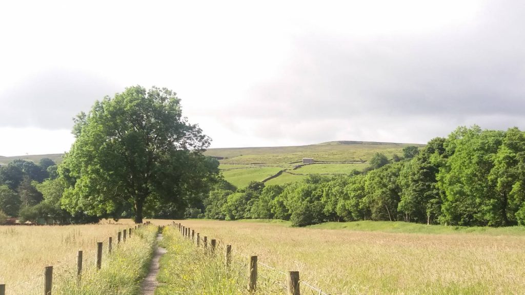 Paths through the Yorkshire Dales National Park