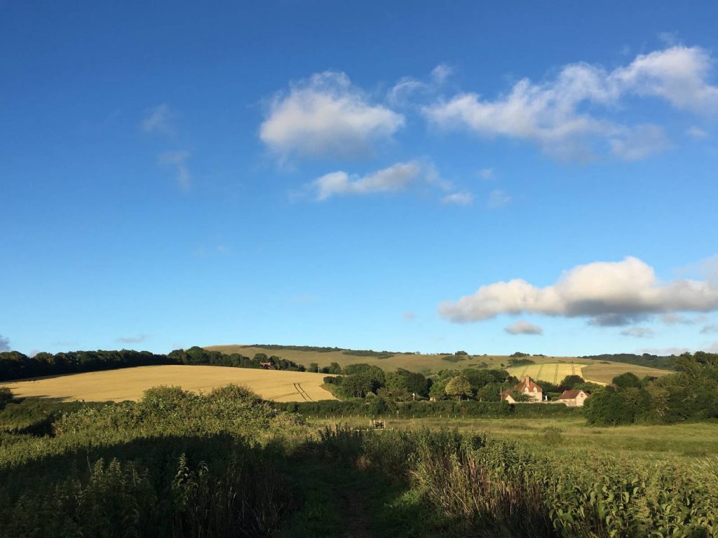Rolling countryside on the South Downs Way