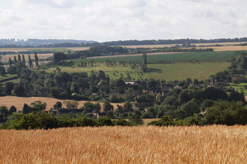 Fields in the cotswolds