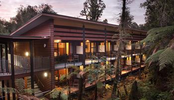 RainforestRetreat