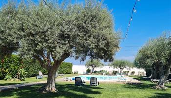 1500x1000images-Rhonasfam-Day4Pool-AgriturismoTenutaArangio