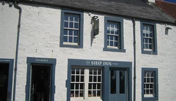 shipinnelie