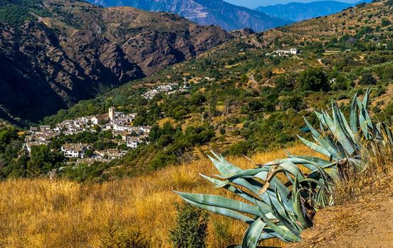 Herbstfarben in den Las Alpujarras