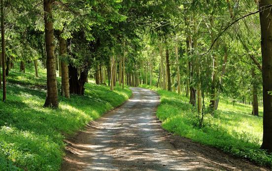 Ride along rural lanes in the Chiltern Hills