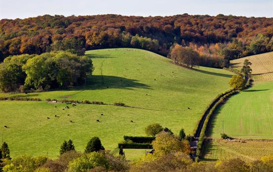 Rolling countryside in the Chiltern Hills