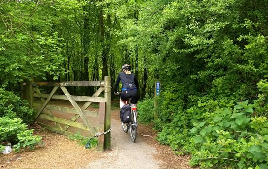 Pedaling through the woods near Bodmin