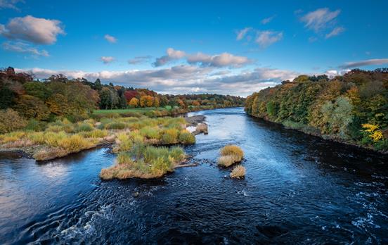 The River Tyne near Corbridge