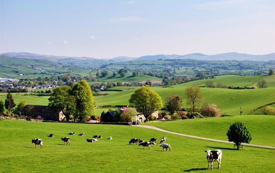 The rolling English countryside