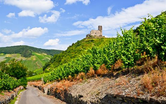 Bernkastel-Kues among the vineyards