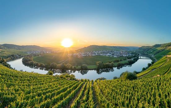 The Moselle river loop at Trittenheim