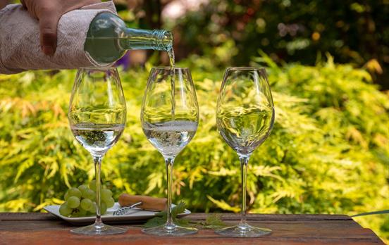 Stop by at wine cellars for tastings