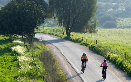 Tuscan roads