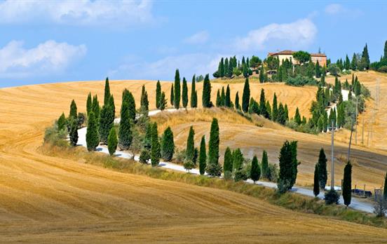 Cycle the cypress-lined hills of Tuscany