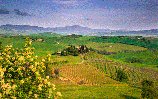 The timeless landscapes of Chianti