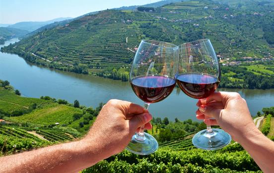 Wine tasting in the Douro Valley