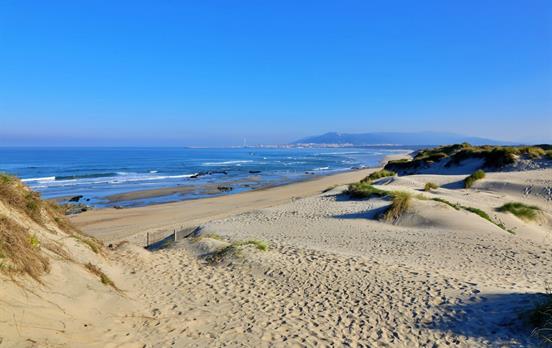 Isolated beaches on the Atlantic coast