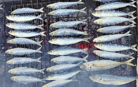 Grilled sardines