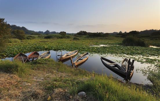 Sunset scenes near Aveiro
