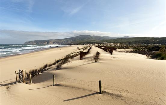 Views across the Atlantic coast