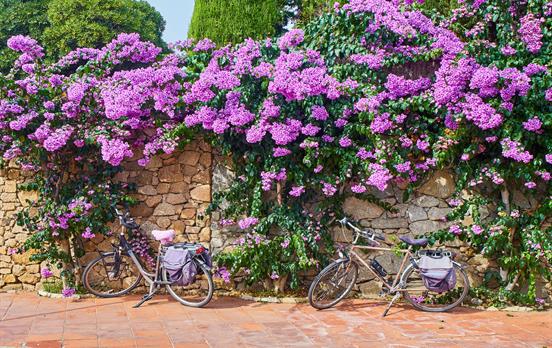 Enjoy the scent of the countryside