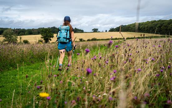 Ländliche Idylle der Cotswolds
