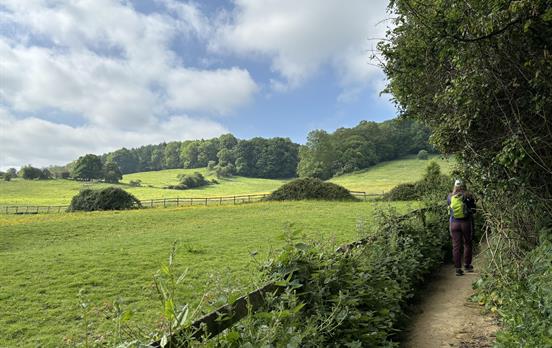 Riesige Felder und rollende Hügel