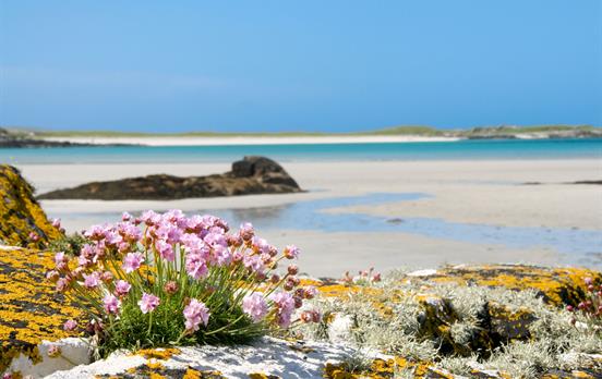 Clifden's white sandy beach