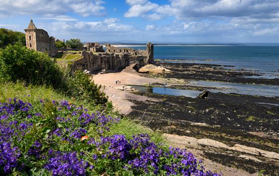 St Andrews cathedral and castle on the shore